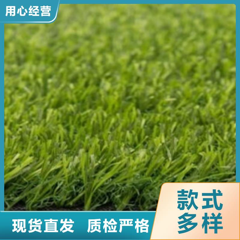 【人造草坪硅pu球场专业完善售后】