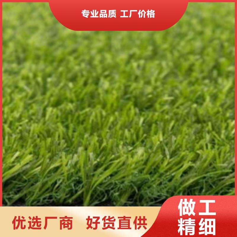 人造草坪篮球架支持定制