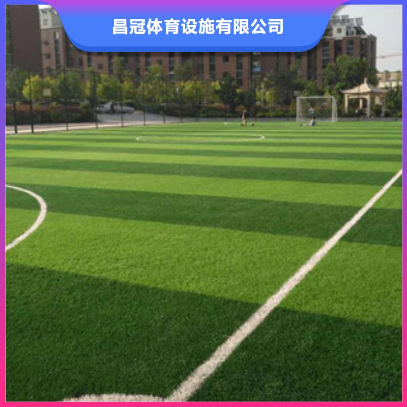 人造草坪篮球架支持定制