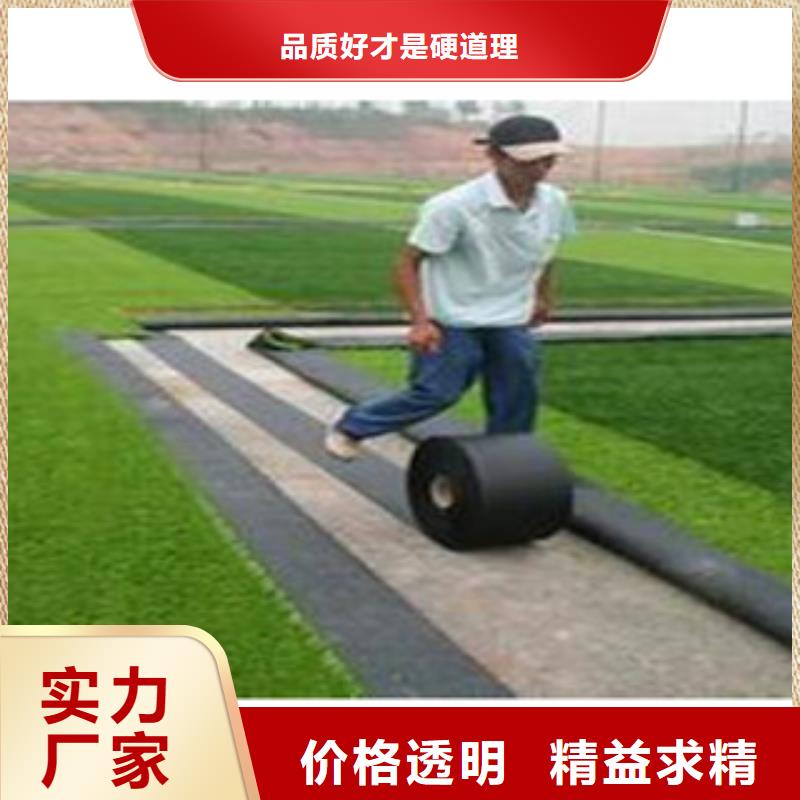 人造草坪塑胶地板诚信商家服务热情