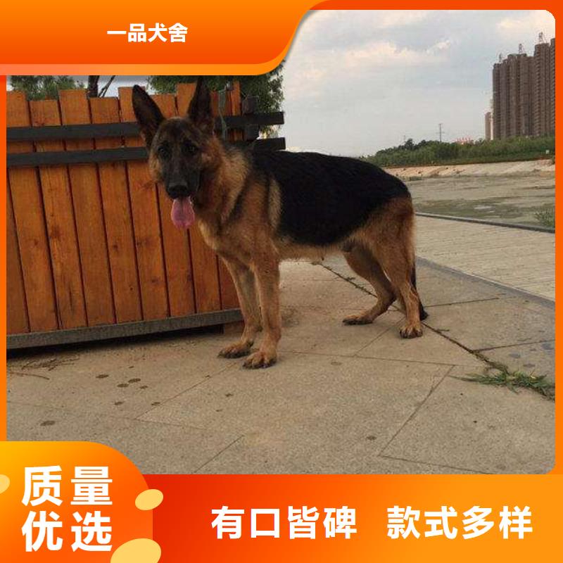 德国牧羊犬,杜宾犬按需设计