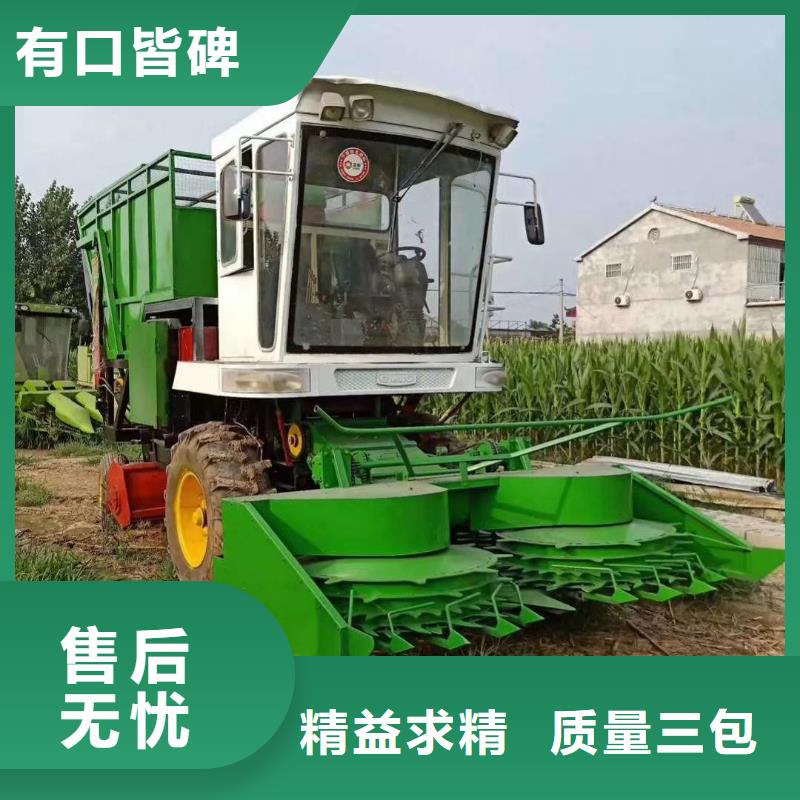 青储机【罗威纳犬】实力厂家直销
