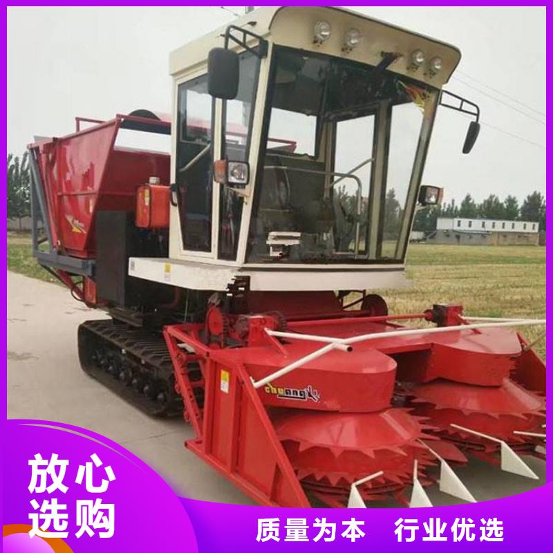 青储机,罗威纳犬质量三包
