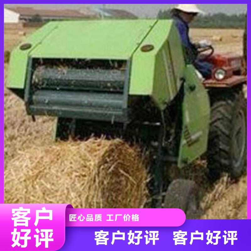 【打捆机拉布拉多犬服务至上】