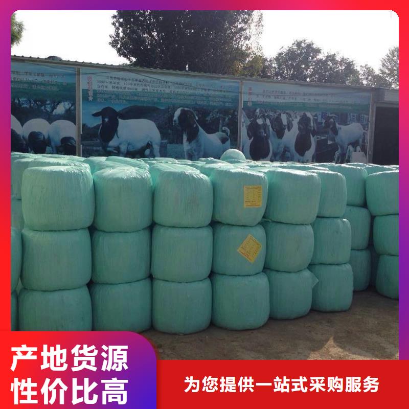 【打捆包膜机】德牧犬现货满足大量采购