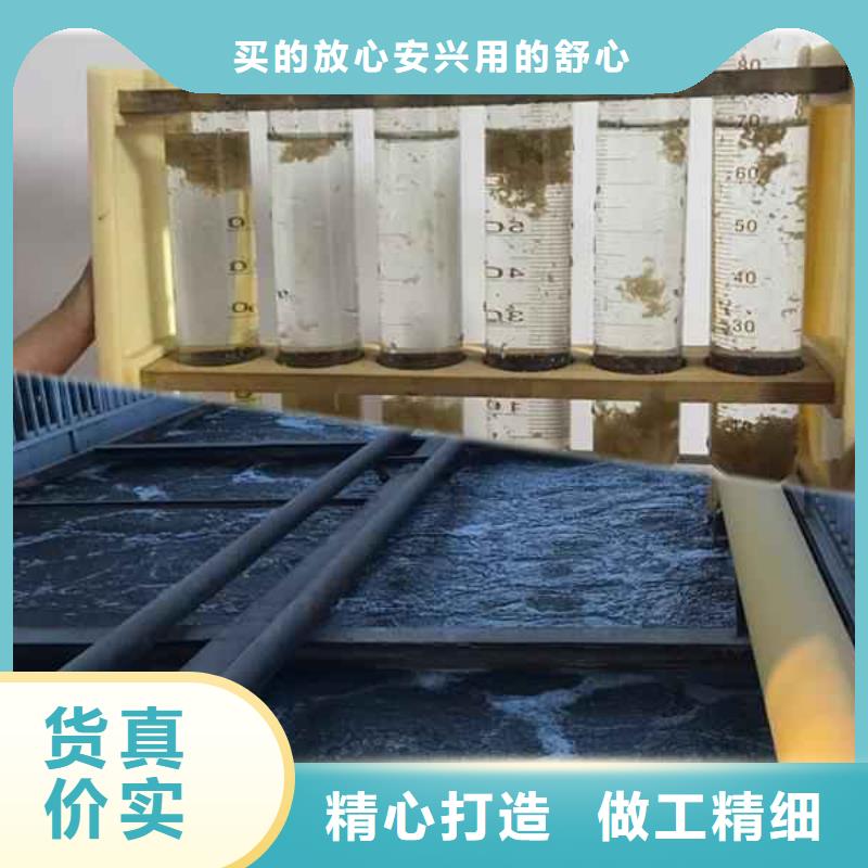 除磷菌厂家已认证