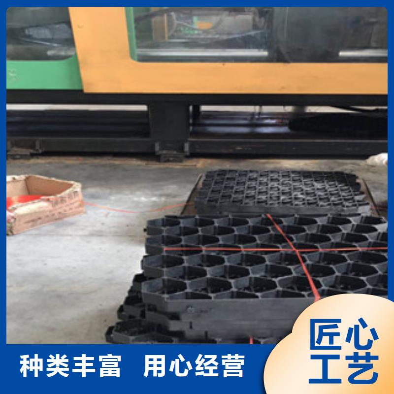 【环保植草格】-植草格厂家货到付款