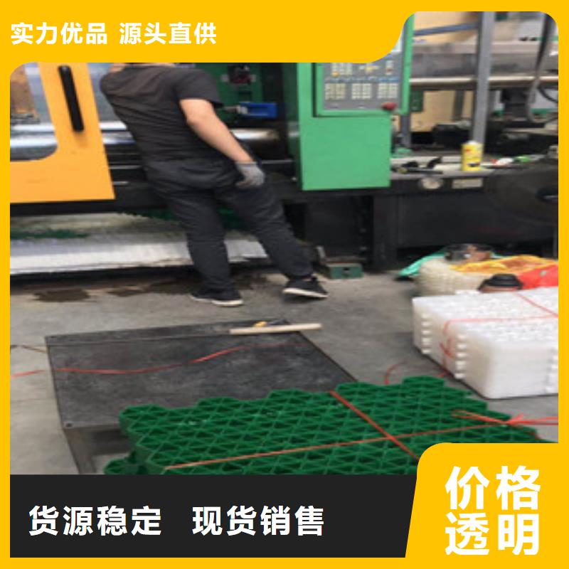 环保植草格植草格厂家来图加工定制