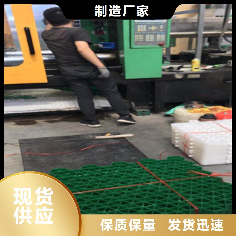 【环保植草格_排水板厂家行业优选】
