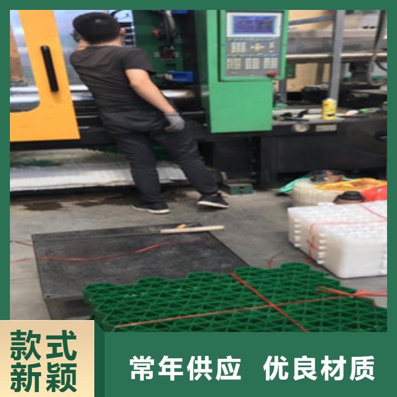 【环保植草格】-植草格厂家货到付款