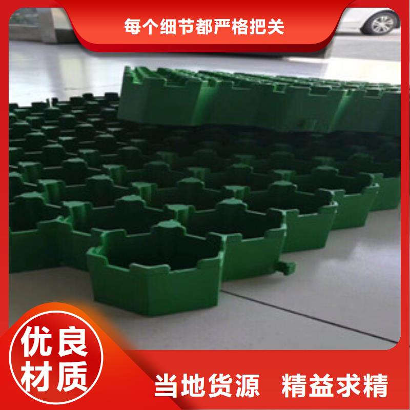 环保植草格植草格厂家来图加工定制