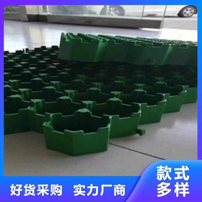 环保植草格植草格厂家来图加工定制
