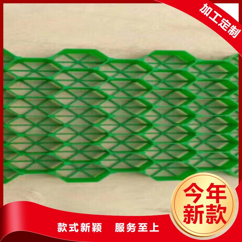 环保植草格_虹吸排水槽厂家畅销本地