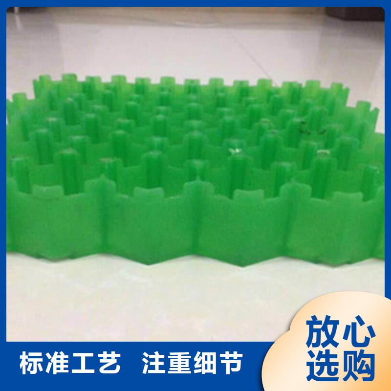 环保植草格植草格厂家来图加工定制