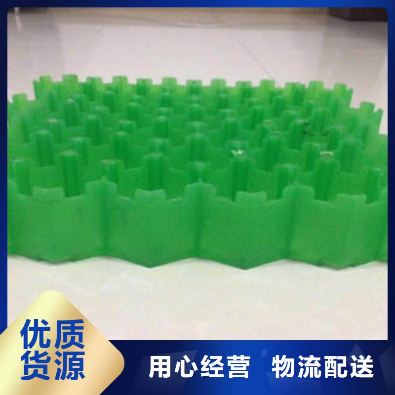 环保植草格排水板厂家可零售可批发