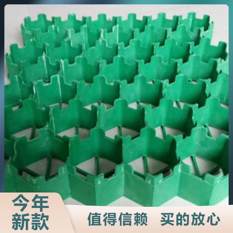 【环保植草格】-植草格厂家货到付款