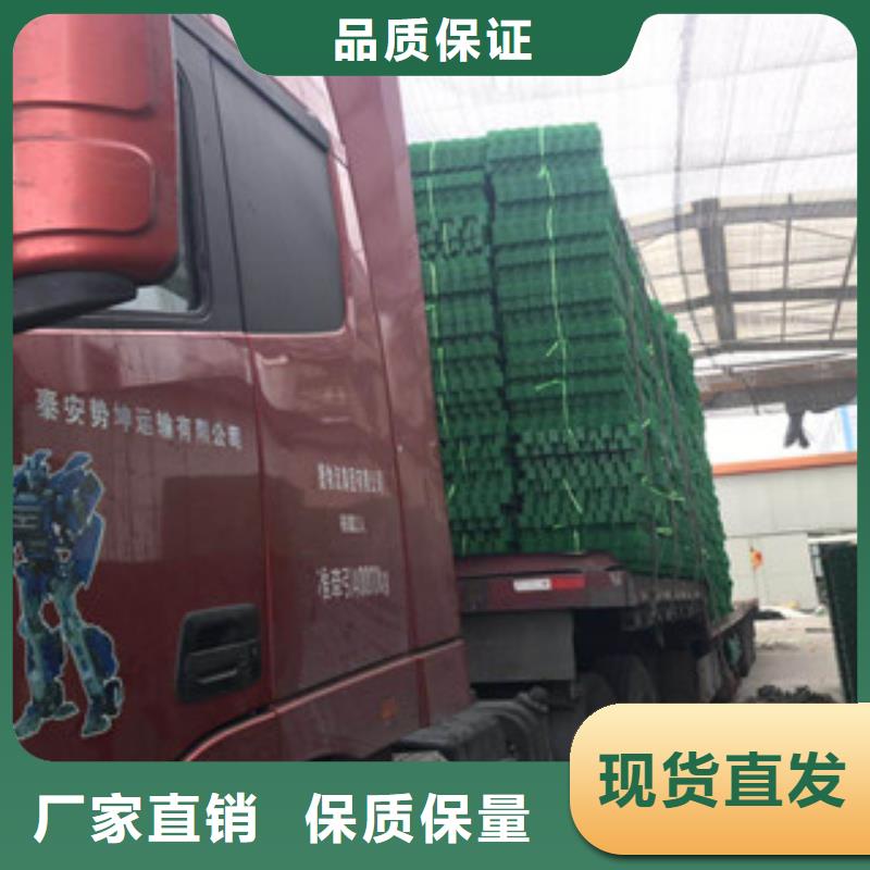 环保植草格植草格厂家来图加工定制