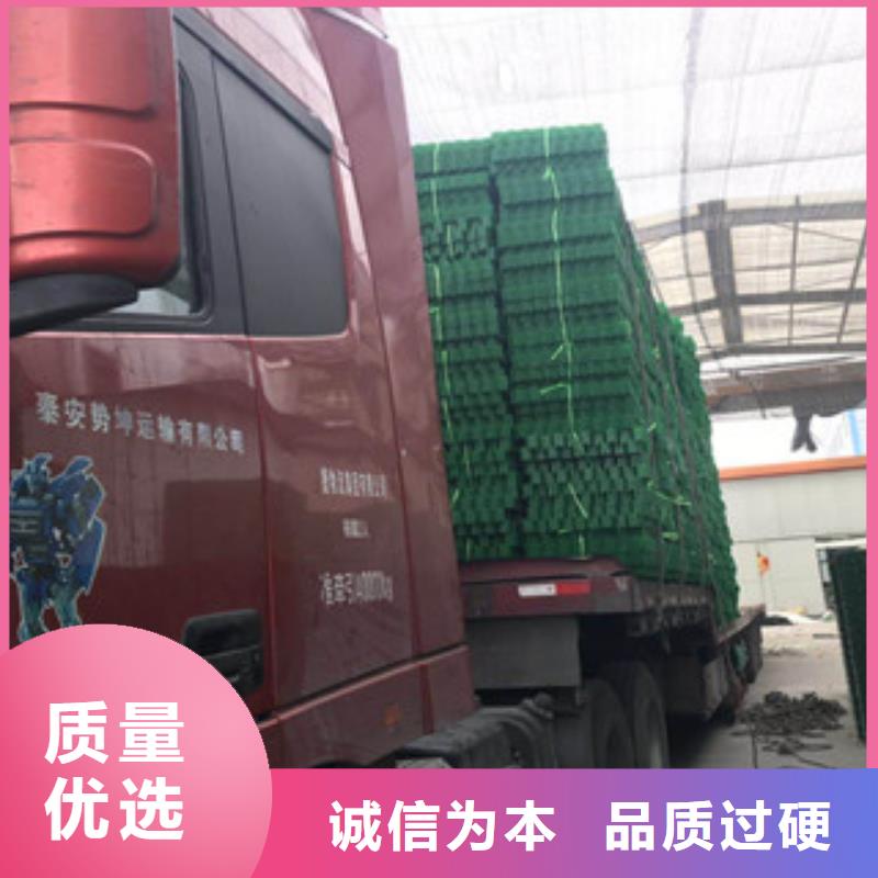 环保植草格排水板厂家可零售可批发