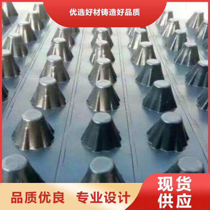 塑料排水板蓄排水板厂家质量无忧