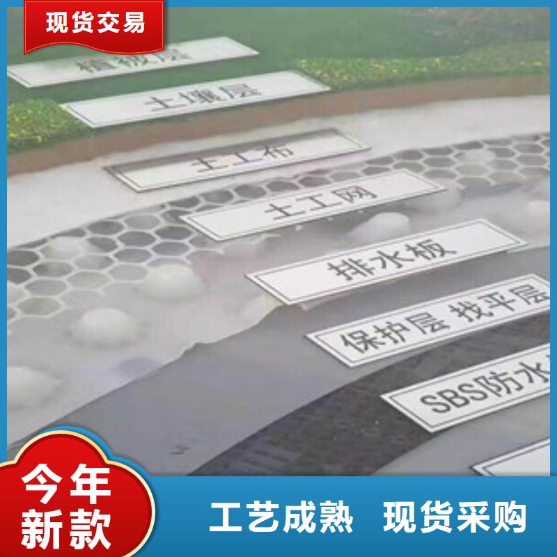 塑料排水板_植草格厂家支持定制贴心售后