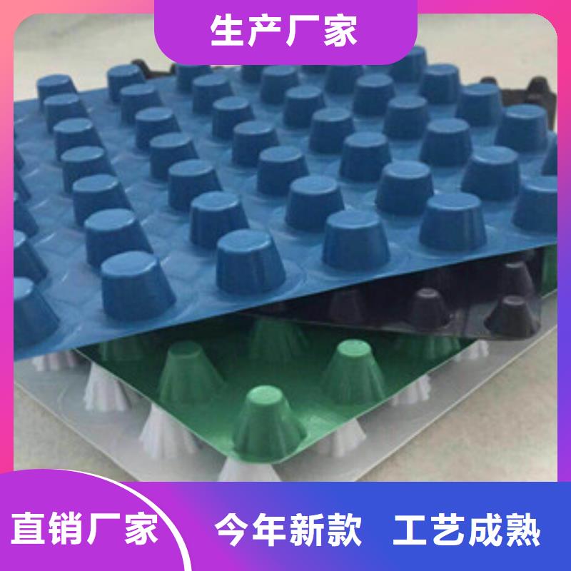 塑料排水板蓄排水板厂家质量无忧