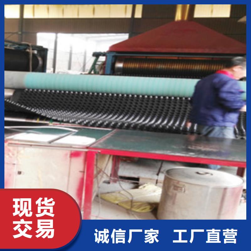 塑料排水板植草格厂家免费回电
