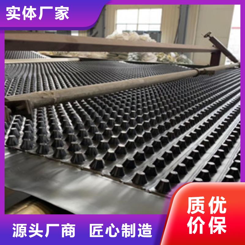 排水板土工膜厂家支持拿样