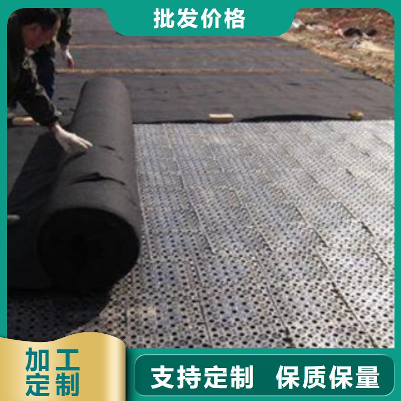 排水板土工膜厂家支持拿样