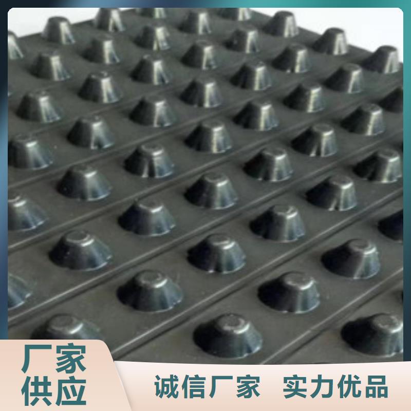 排水板土工膜厂家支持拿样