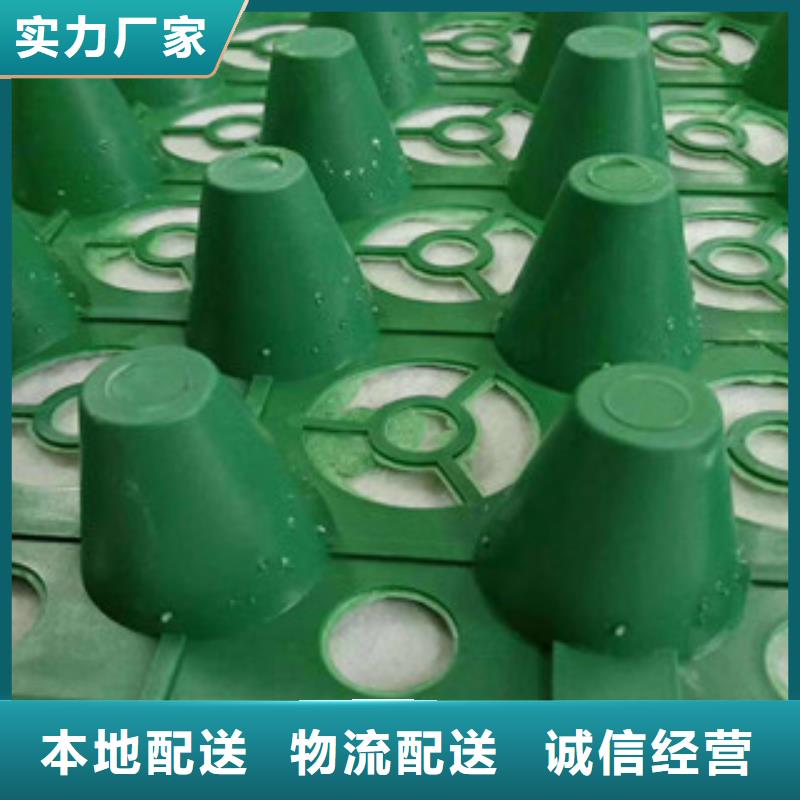 车库顶绿化蓄排水板富泰土工材料有限公司厂家直销