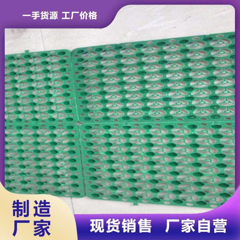 车库顶绿化蓄排水板富泰土工材料有限公司厂家直销