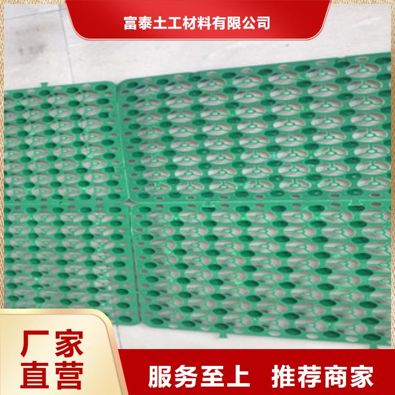 【蓄排水板】排水板厂家价格透明