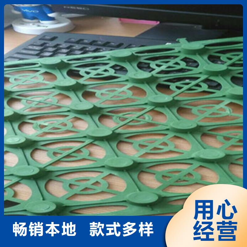 蓄排水板植草格厂家厂家品控严格