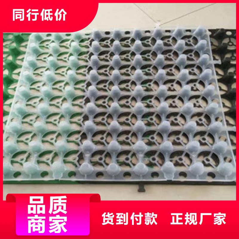 蓄水排水板富泰土工材料有限公司厂家直销
