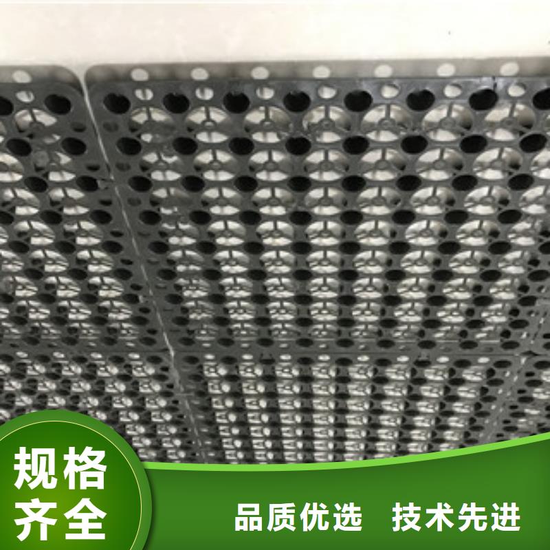 塑料排水板泰安富泰土工材料有限公司厂家直销