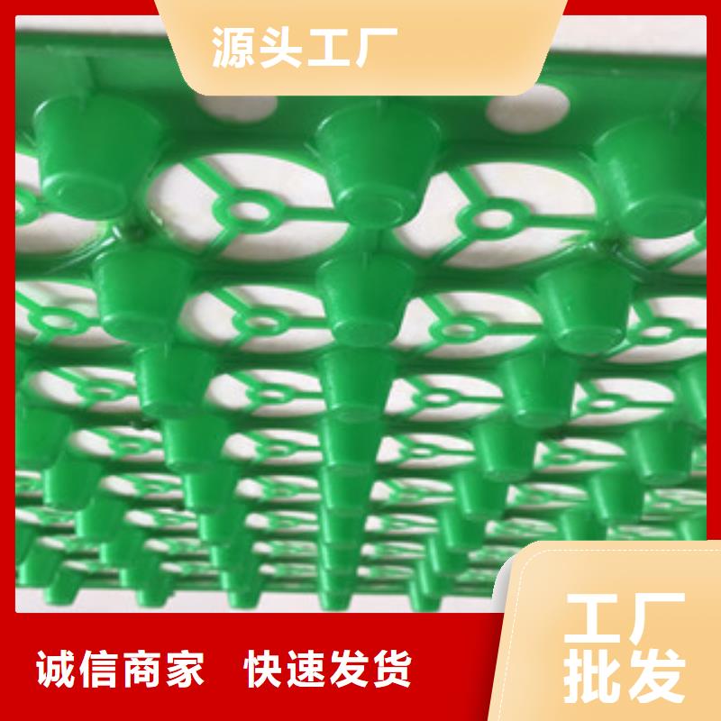 蓄排水板富泰土工材料有限公司厂家价格