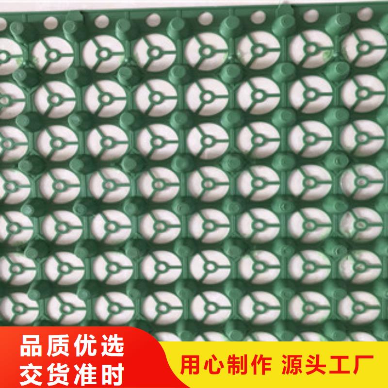 蓄排水板植草格厂家厂家品控严格
