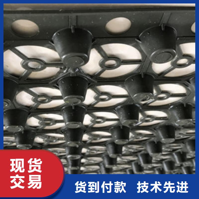 蓄排水板富泰土工材料有限公司厂家价格
