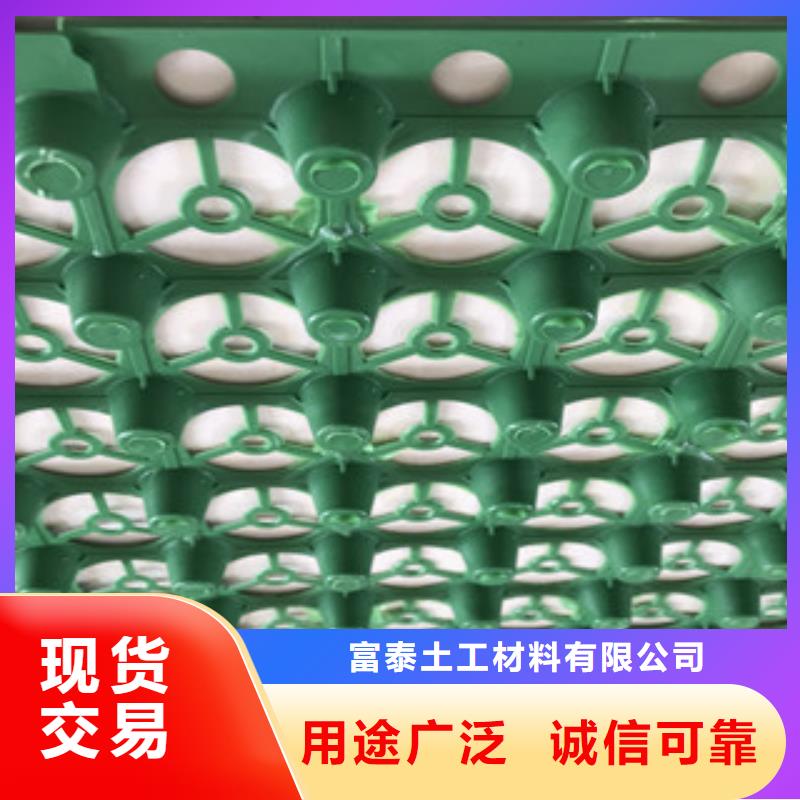 车库顶板虹吸排水板山东富泰土工厂家地址