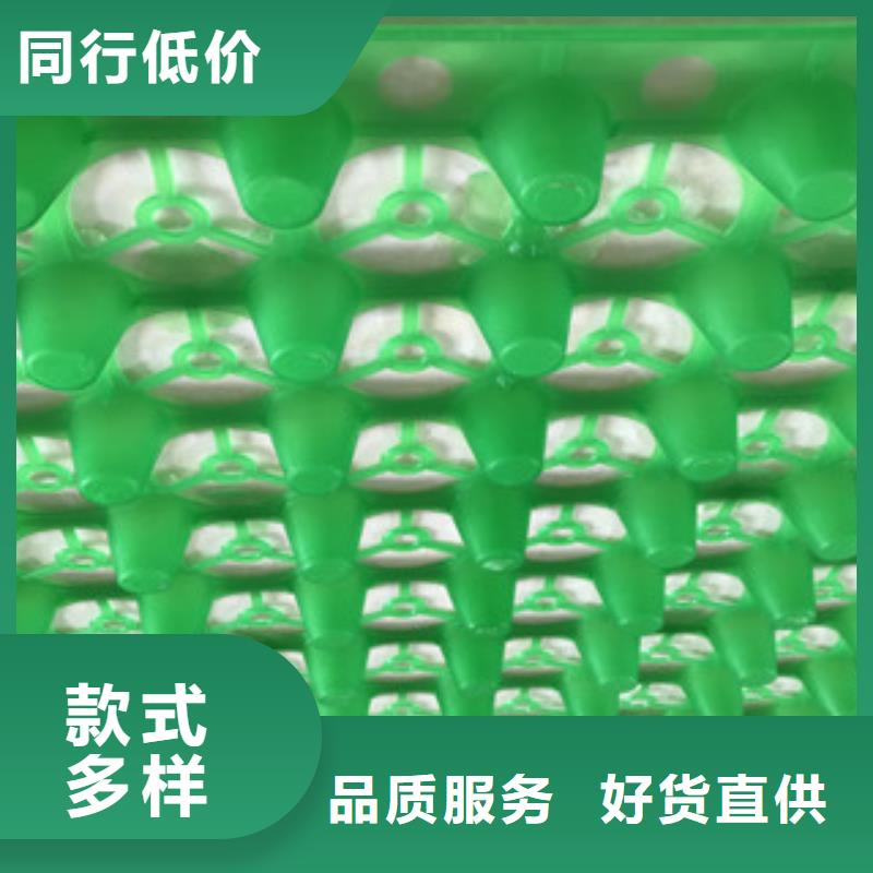 蓄排水板富泰土工材料有限公司厂家价格