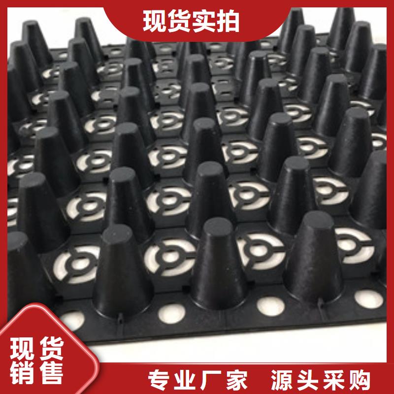 车库顶绿化蓄排水板富泰土工材料有限公司厂家直销
