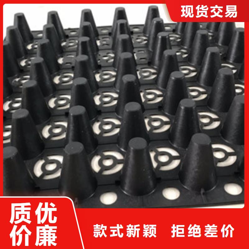 蓄水排水板富泰土工材料有限公司厂家直销