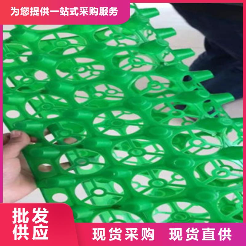 车库顶板虹吸排水板山东富泰土工厂家地址