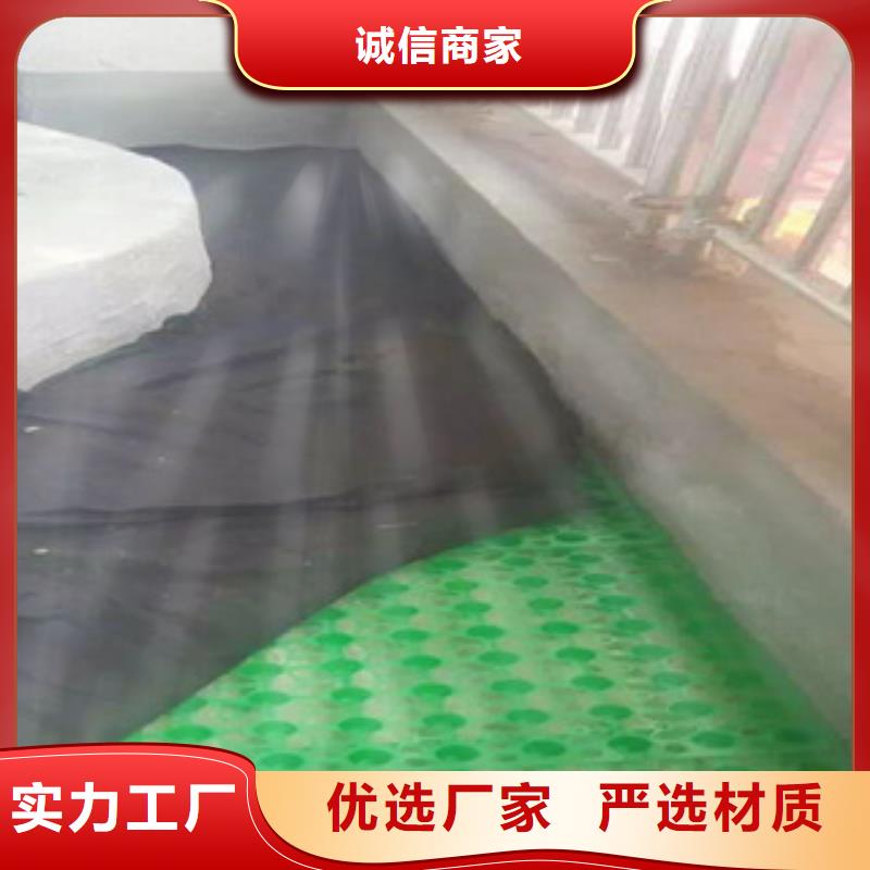 蓄排水板富泰土工材料有限公司厂家价格