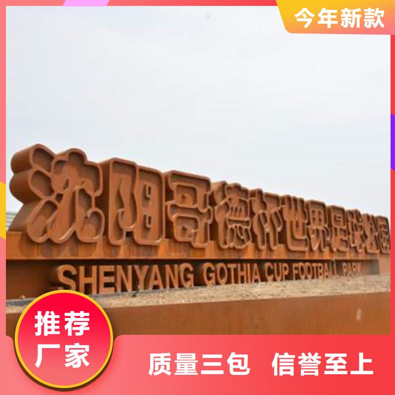 耐候板弹簧钢片专注品质