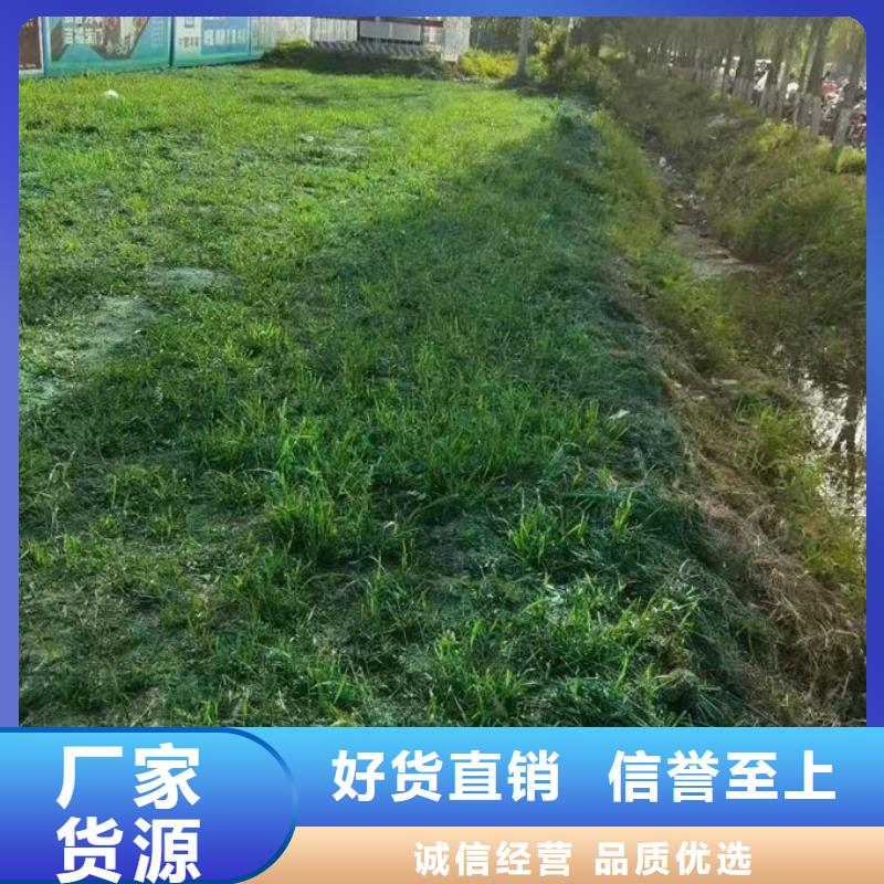 煤炭矿山抑尘剂量大从优