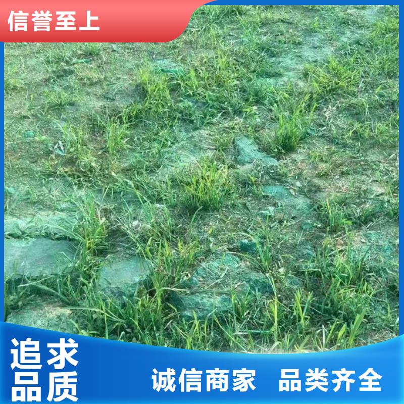 抑尘剂色素厂家自营