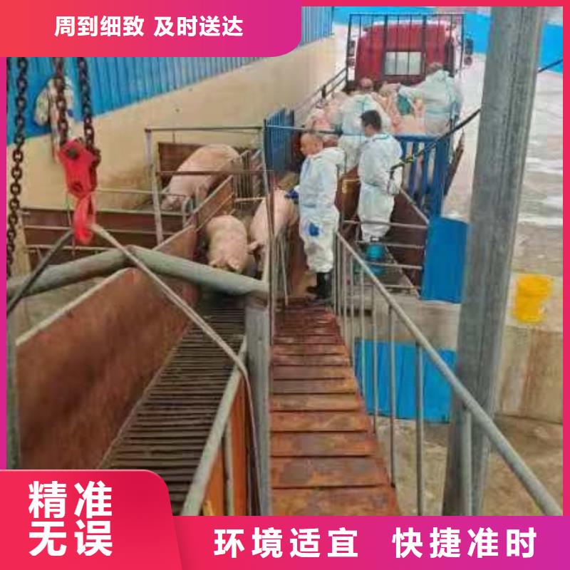 宿迁到空调车运输保障有力