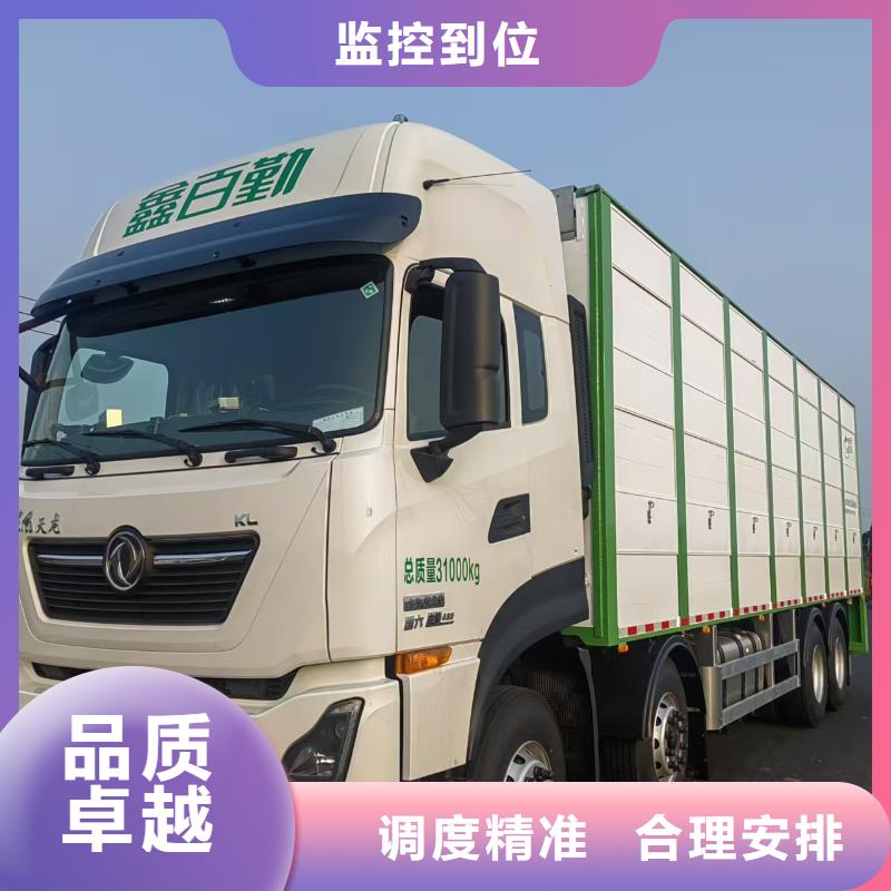 宿迁市沭阳到羊运输专用车口碑良好