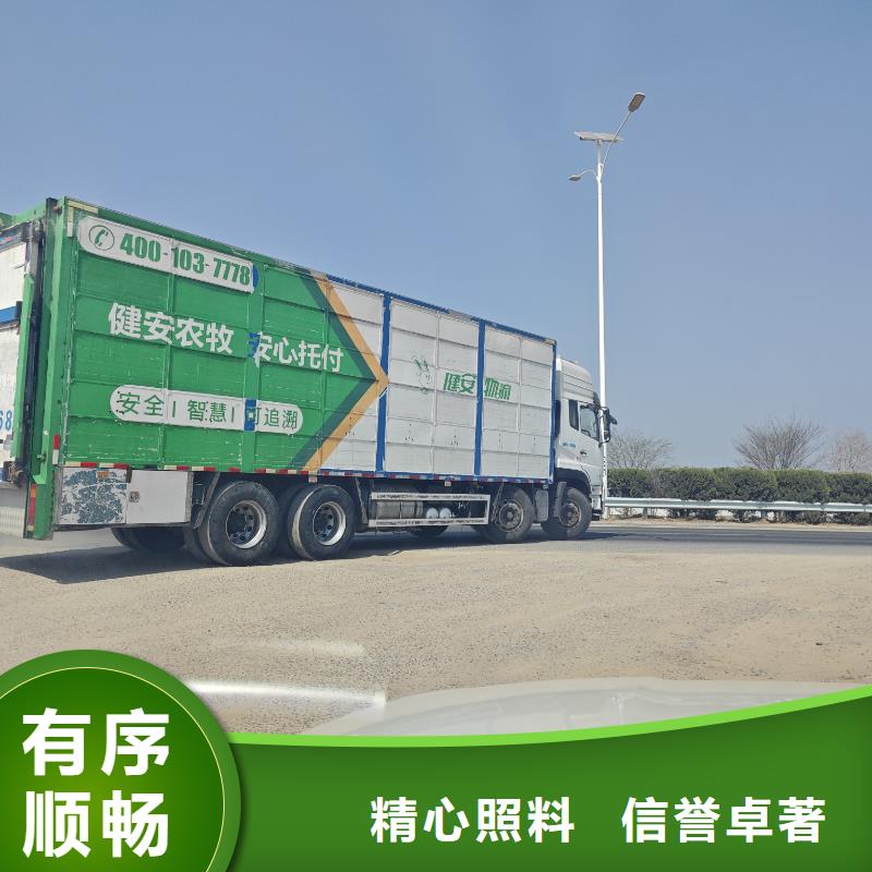 宿迁市沭阳到高栏车肥猪运输路线优化